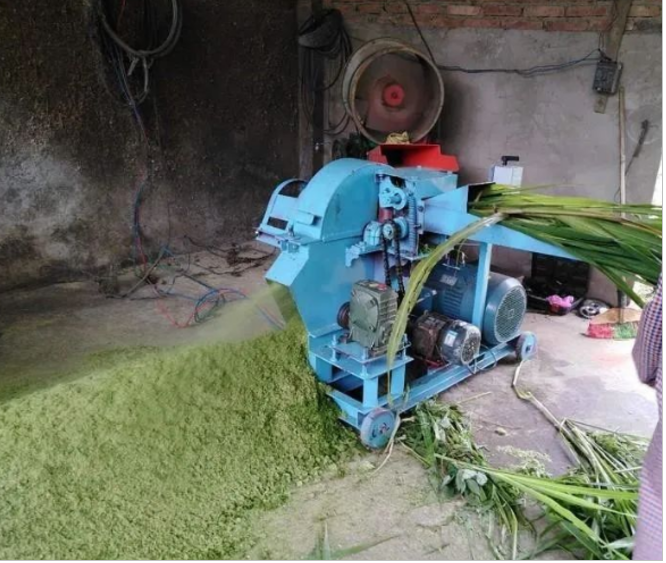 QQ圖片20250825123855.png QQ圖片20250825123855.png