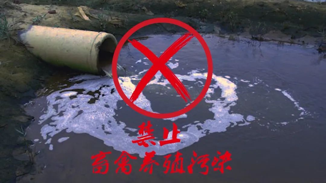 禁止畜禽養殖污染.jpg