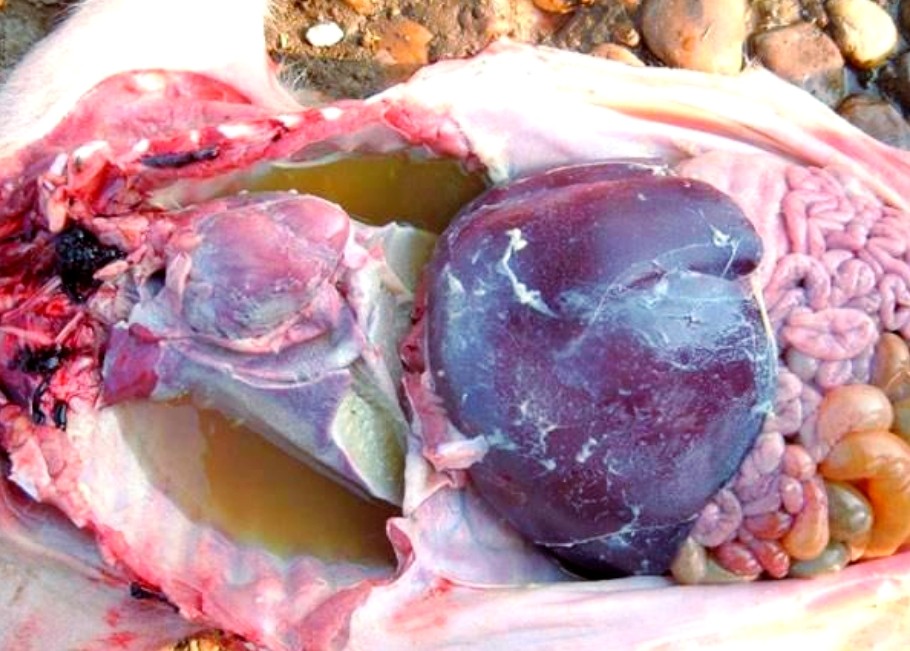 微信截圖_20250901095915.jpg 微信截圖_20250901095915.jpg