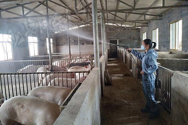 4935333f3fc11163a4b949b2a0eb95d7.jpeg 4935333f3fc11163a4b949b2a0eb95d7.jpeg