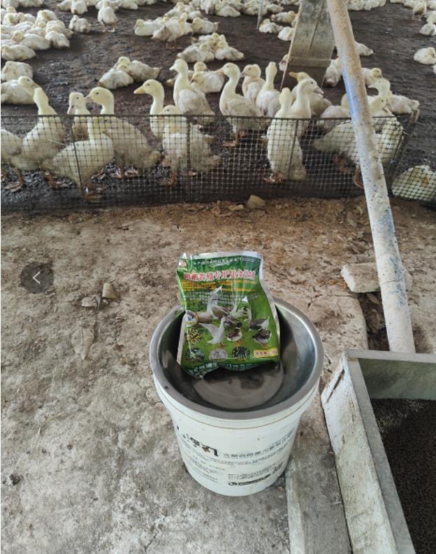 微信圖片_20250902105156.jpg 微信圖片_20250902105156.jpg