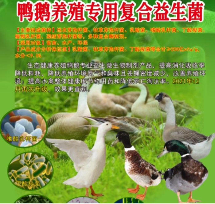 17340557458620222.jpg 17340557458620222.jpg