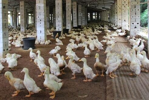 微信圖片_20250902105127.jpg 微信圖片_20250902105127.jpg