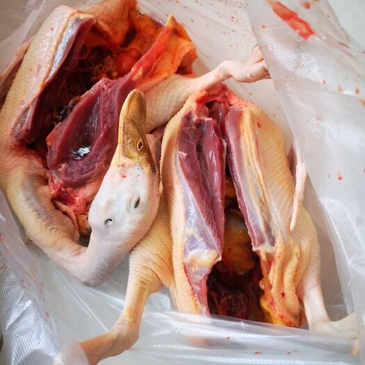 微信圖片_20250902105123.jpg 微信圖片_20250902105123.jpg