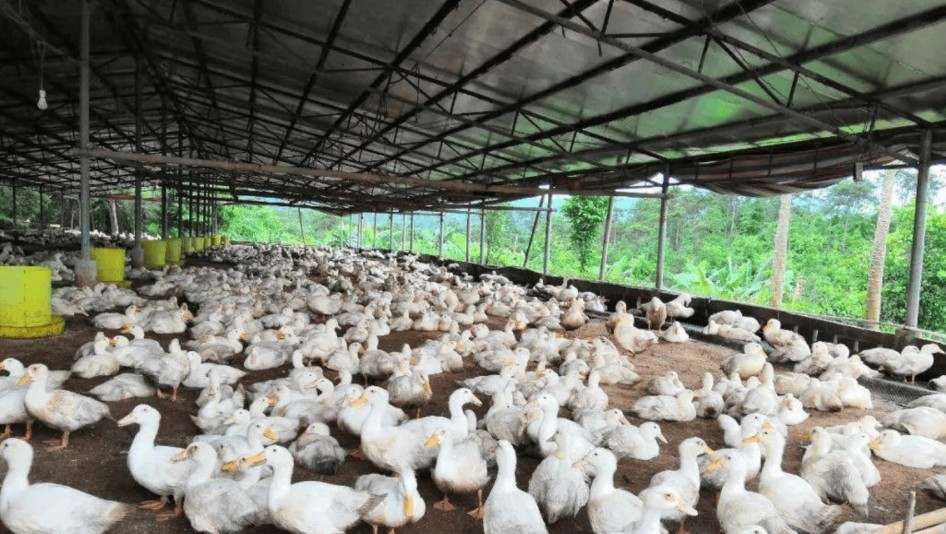 微信截圖_20250902105138.jpg 微信截圖_20250902105138.jpg