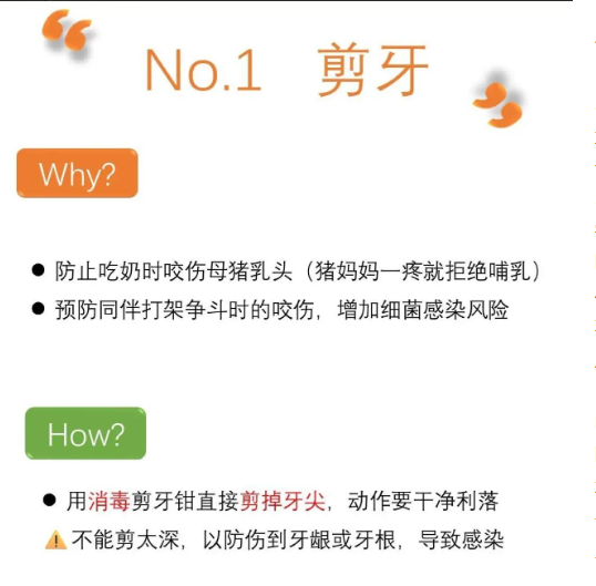 截圖20250903091710.png 截圖20250903091710.png