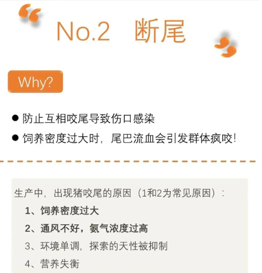 截圖20250903091731.png 截圖20250903091731.png