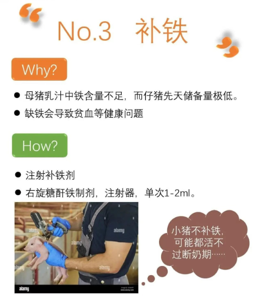 截圖20250903091747.png 截圖20250903091747.png