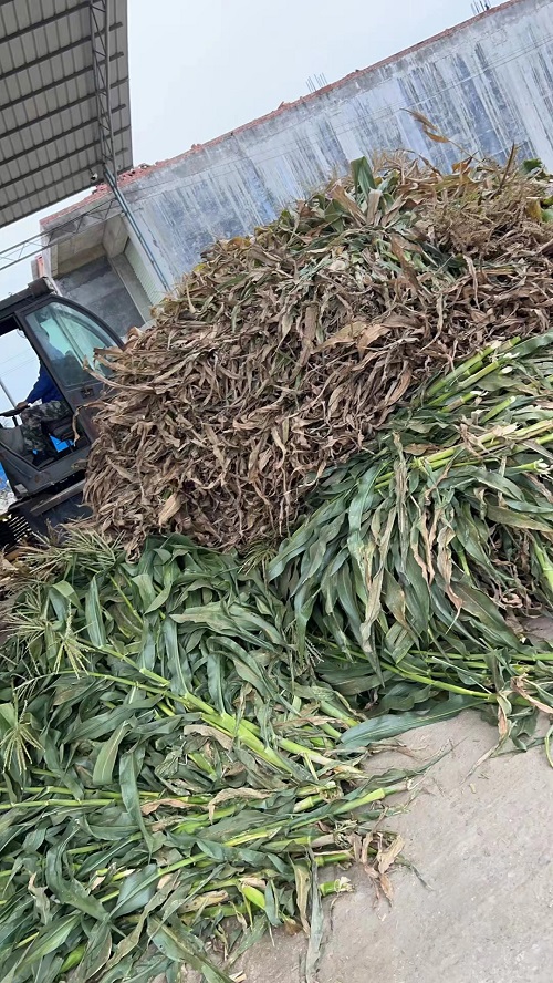 微信圖片_20231229103133.jpg 微信圖片_20231229103133.jpg