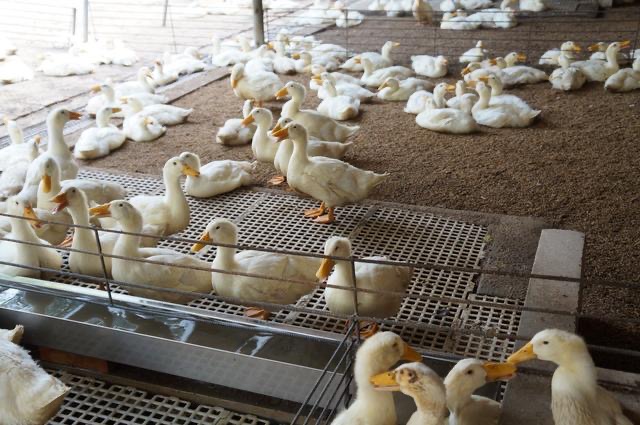 微信圖片_20250509220807.jpg 微信圖片_20250509220807.jpg