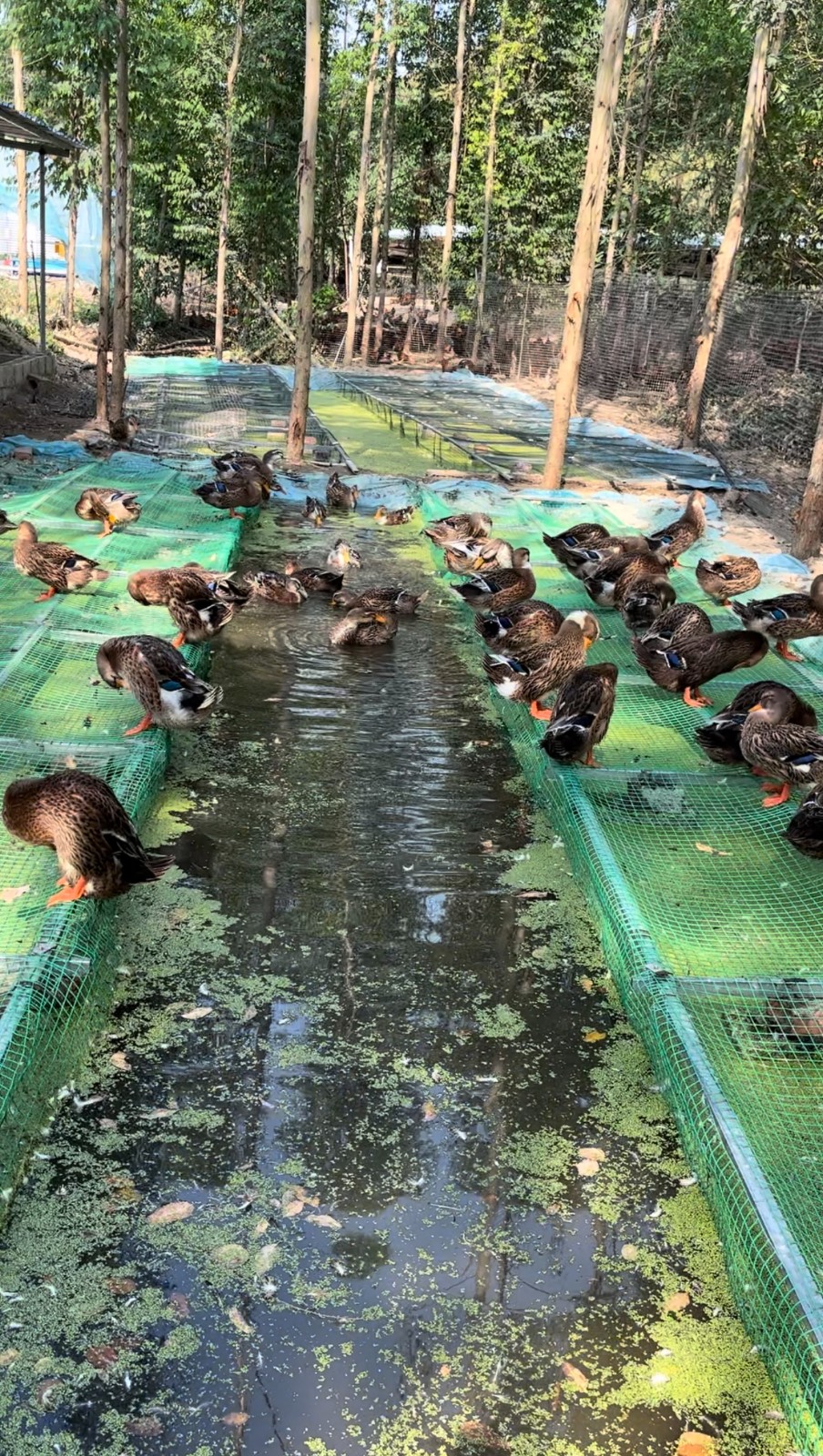 微信圖片_20250509220756.jpg 微信圖片_20250509220756.jpg