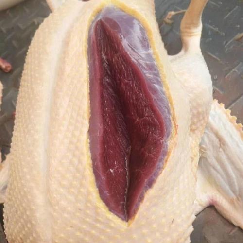 微信圖片_20250509220813.jpg 微信圖片_20250509220813.jpg