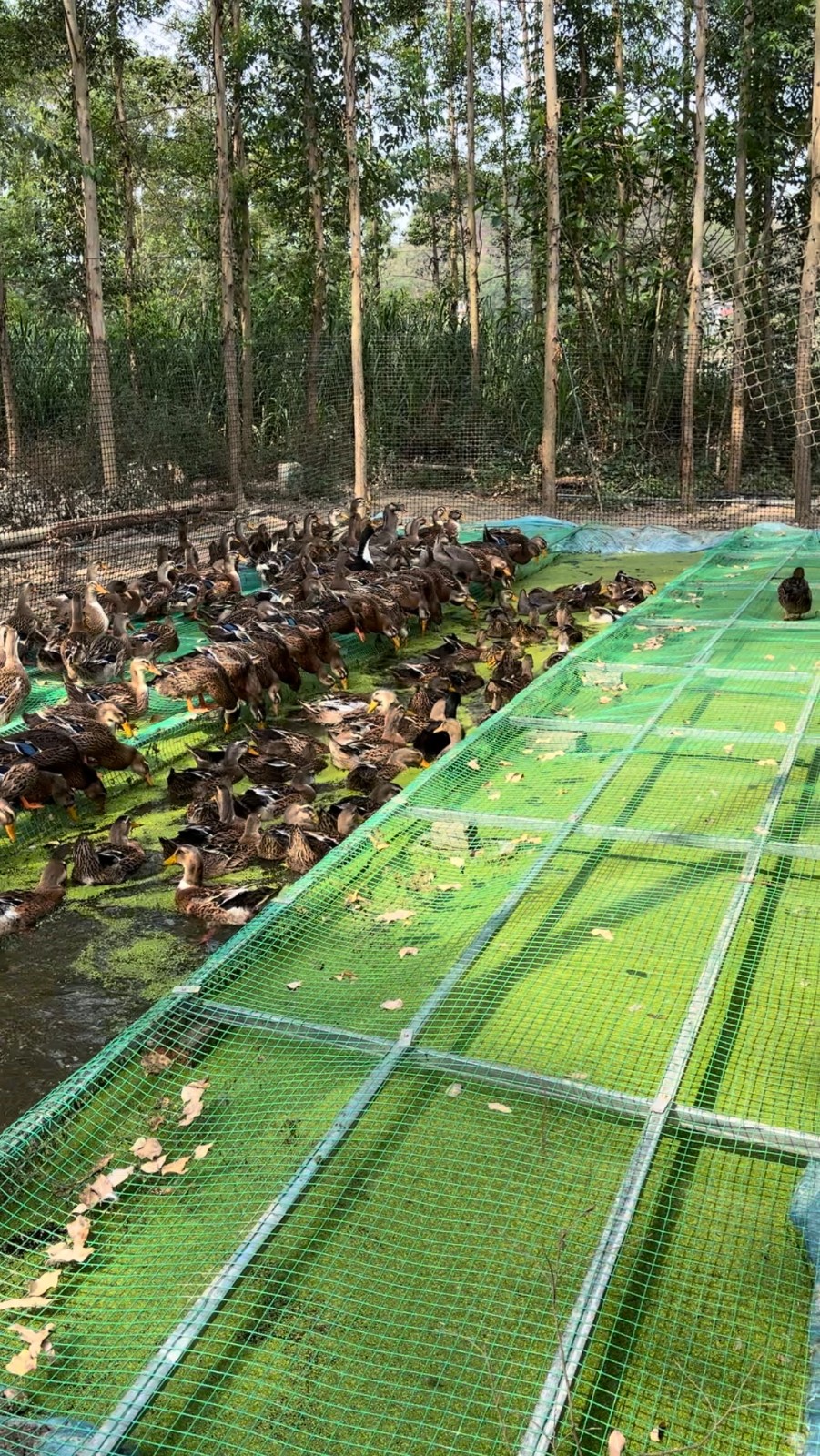 微信圖片_20250509220748.jpg 微信圖片_20250509220748.jpg