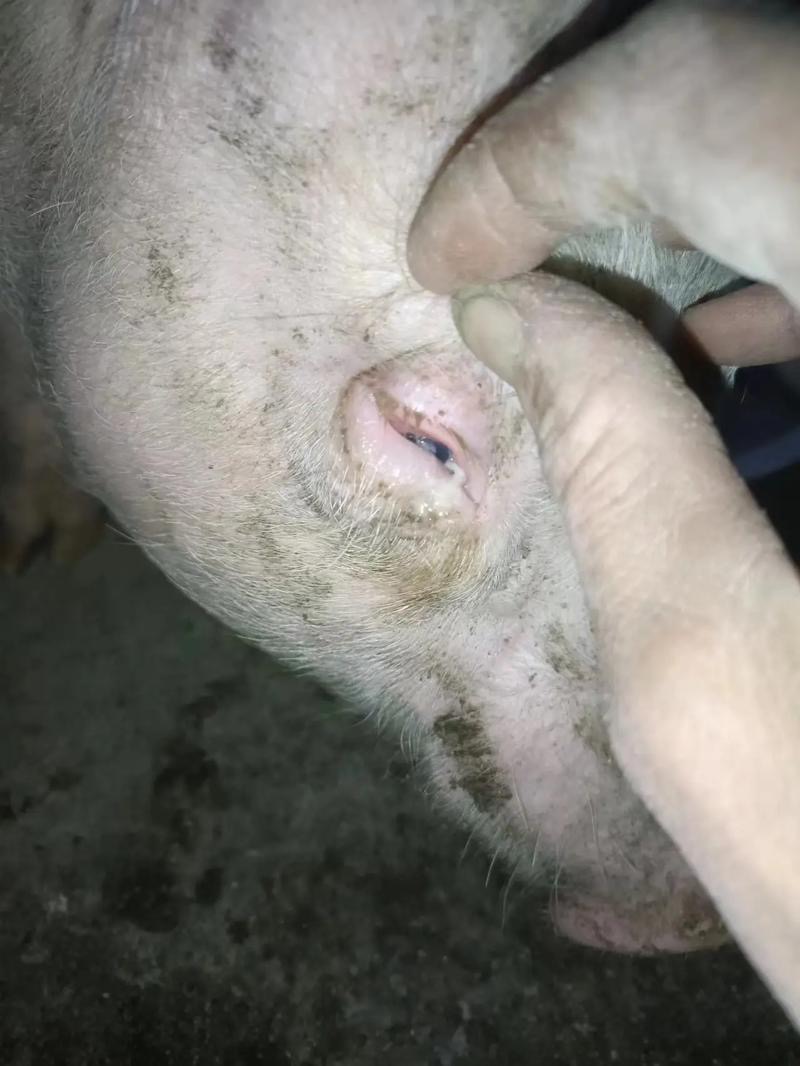 微信圖片_20250905092441.jpg 微信圖片_20250905092441.jpg