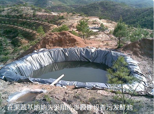 在果蔬基地地頭采用防滲膜建設糞污發酵池.jpg