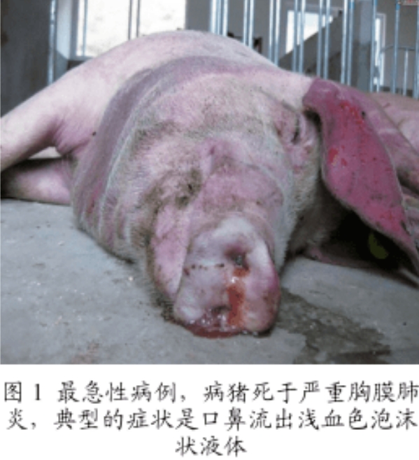 微信截圖_20250909092313.jpg 微信截圖_20250909092313.jpg