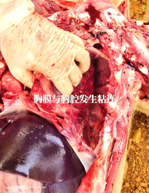 微信截圖_20250909092247.jpg 微信截圖_20250909092247.jpg