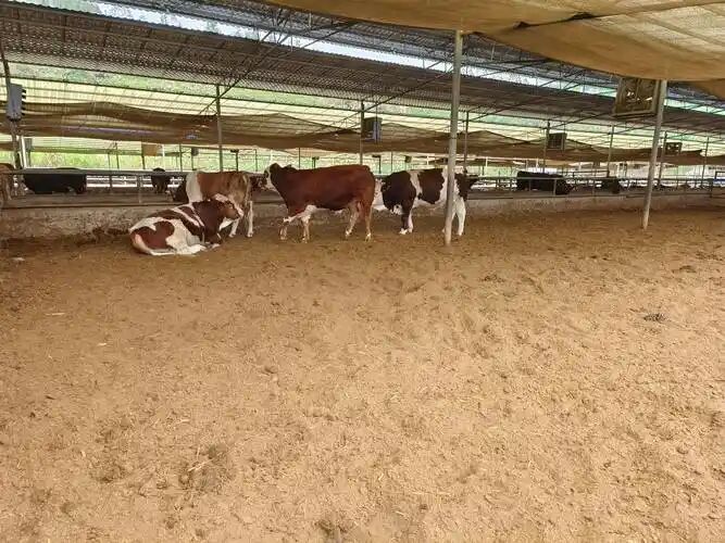 a64abb073030c23a90ee08712a4c3d08.jpg a64abb073030c23a90ee08712a4c3d08.jpg