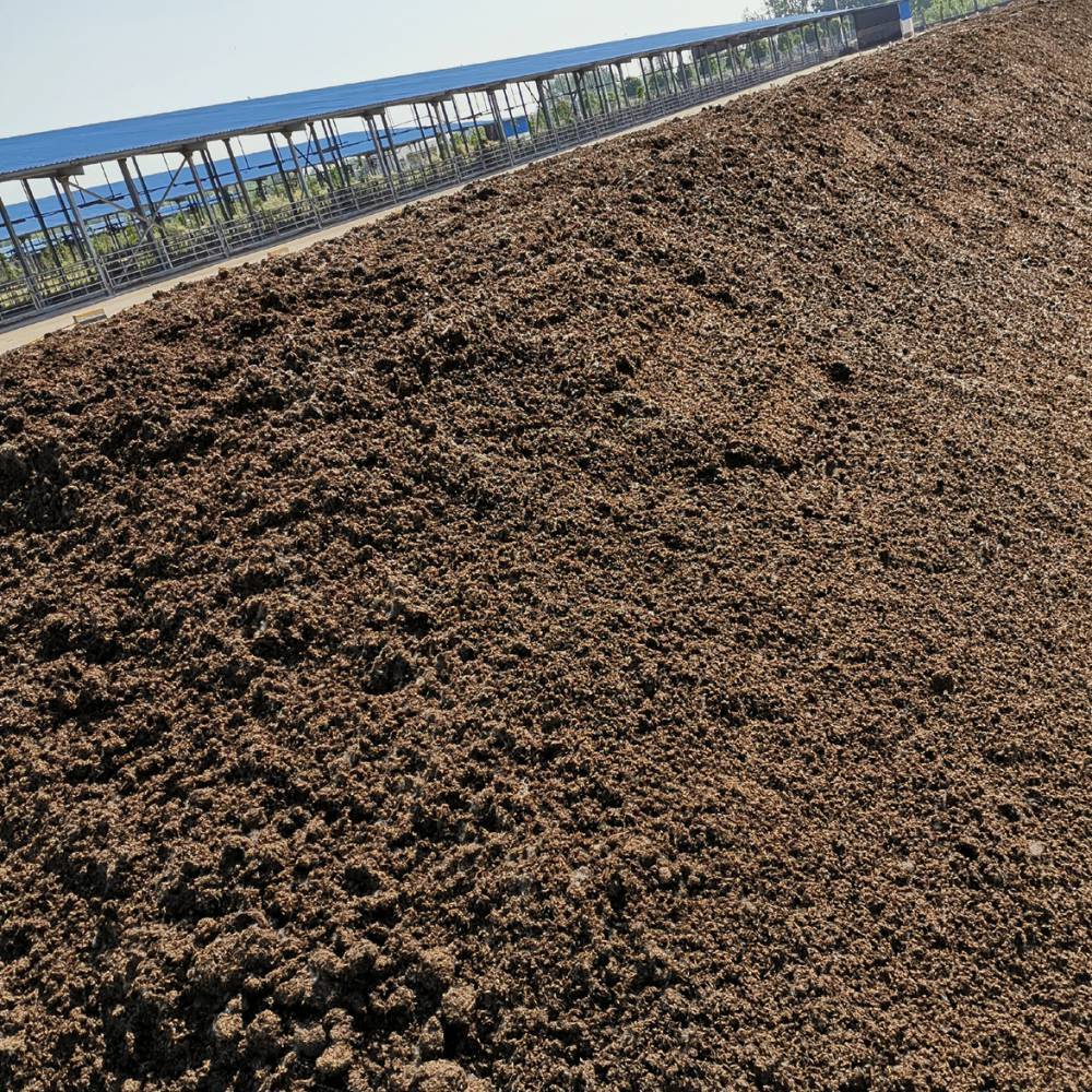 421117bb3199f80f4b4b588143ea0079_720.jpg 421117bb3199f80f4b4b588143ea0079_720.jpg