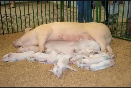 513e798d-6ee2-4eed-bd31-828aa8999e82.png 513e798d-6ee2-4eed-bd31-828aa8999e82.png