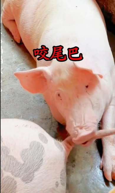 截圖20250917092346.png 截圖20250917092346.png