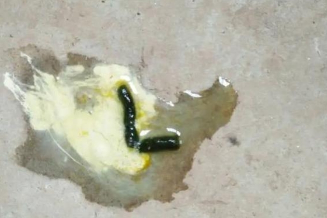 微信截圖_20250925092812.jpg 微信截圖_20250925092812.jpg