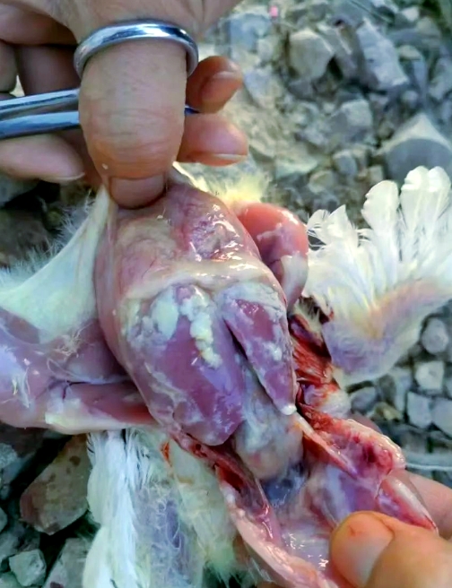 微信截圖_20250925092825.jpg 微信截圖_20250925092825.jpg