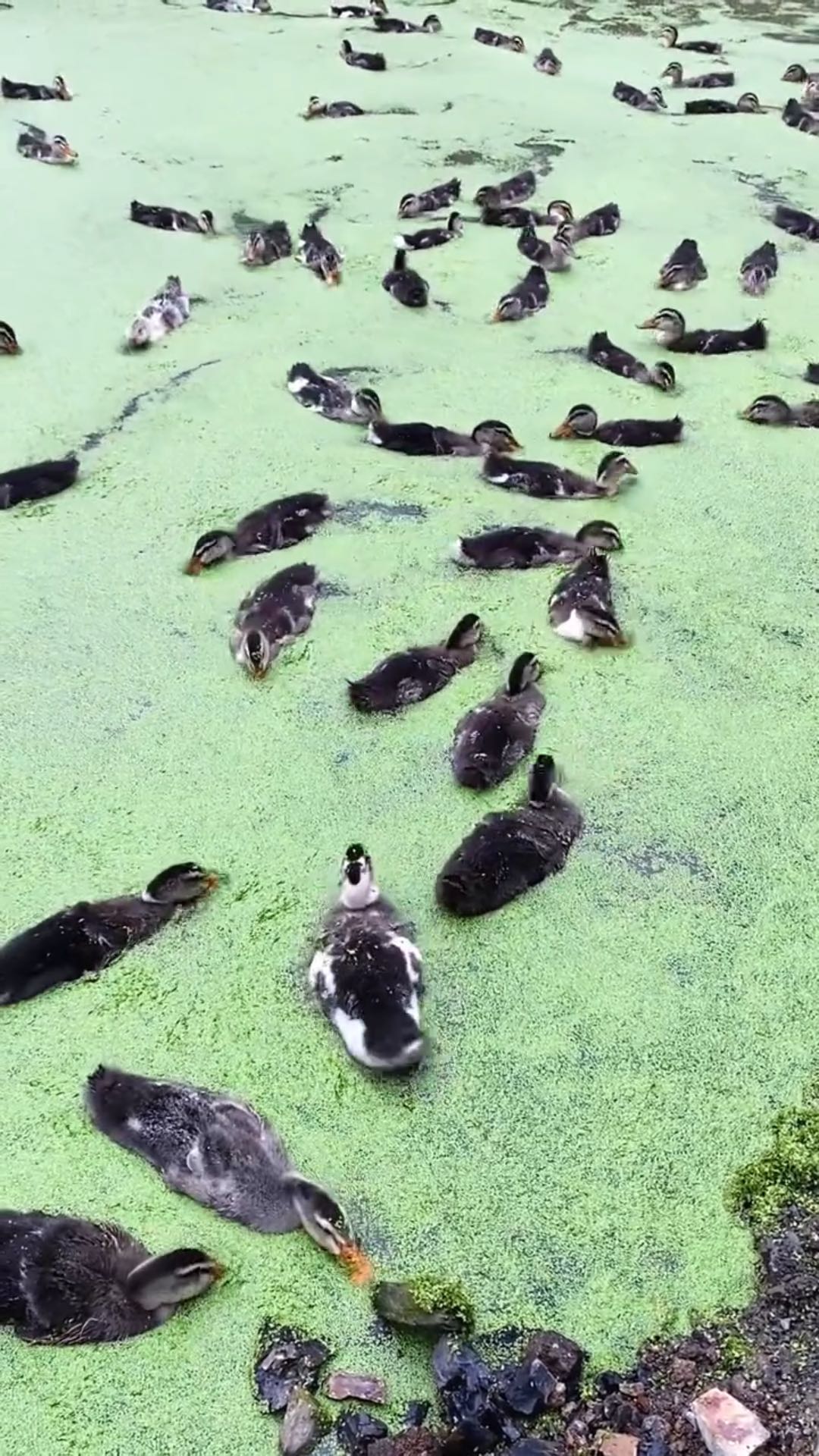 微信圖片_20250925151629.jpg 微信圖片_20250925151629.jpg