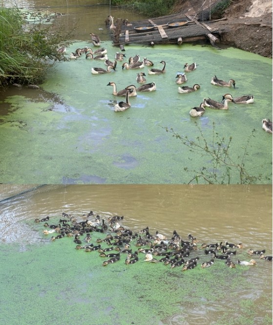 微信截圖_20250925151550.jpg 微信截圖_20250925151550.jpg