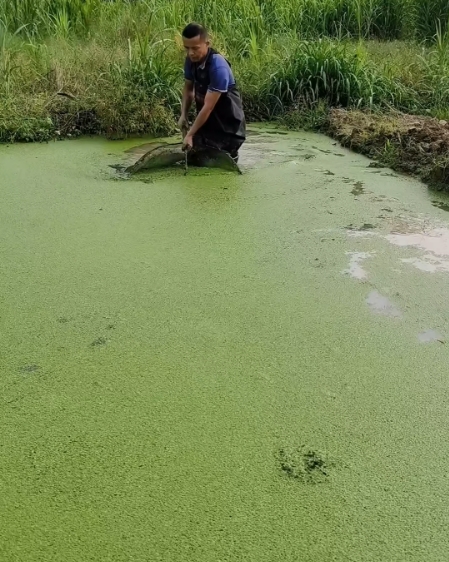 微信截圖_20250925152649.jpg 微信截圖_20250925152649.jpg