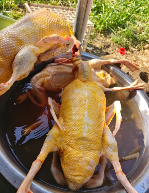 微信截圖_20250925151624.jpg 微信截圖_20250925151624.jpg