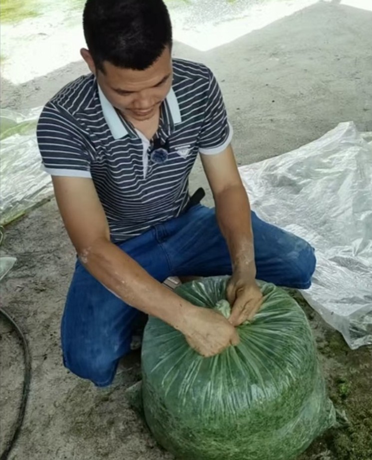 17473597136526914.jpg 17473597136526914.jpg