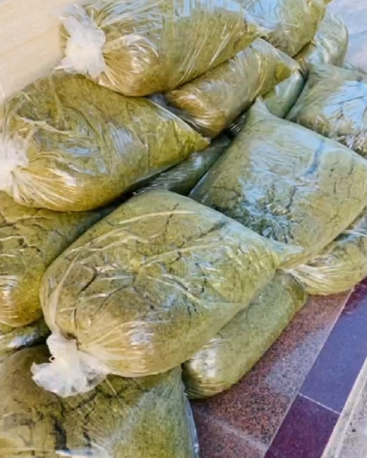 17473597137355009.jpg 17473597137355009.jpg