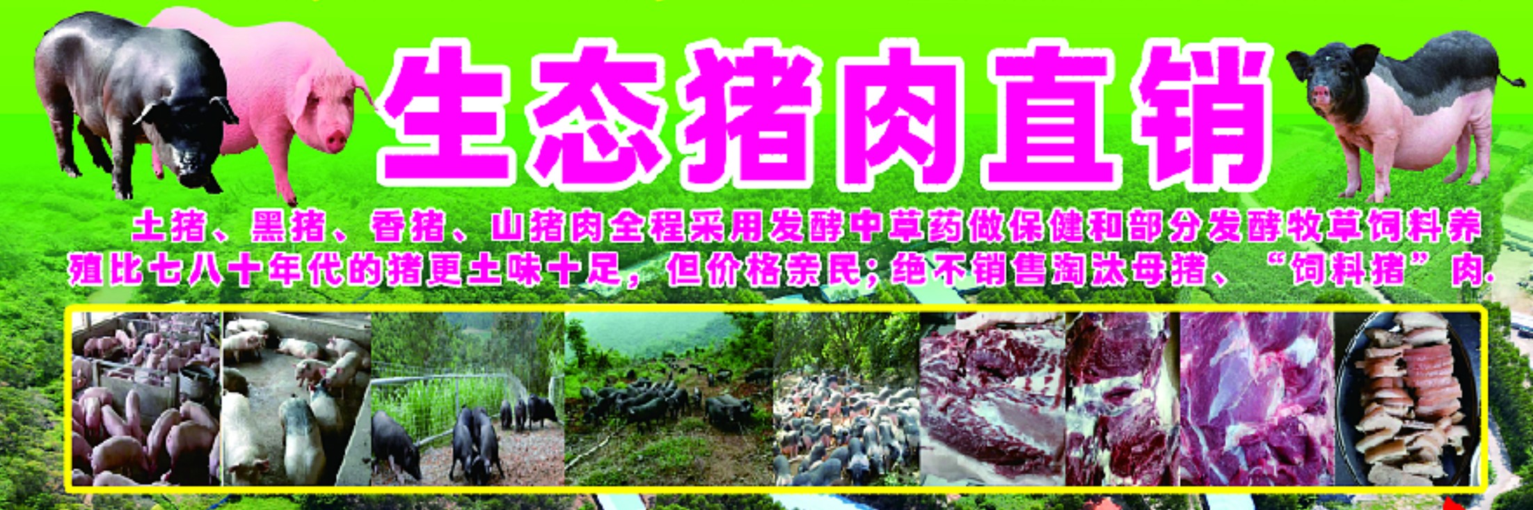 牧草豬肉2.jpg 牧草豬肉2.jpg