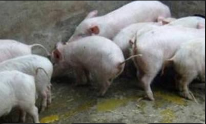 截圖20251010095548.png 截圖20251010095548.png