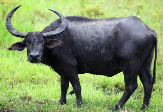 391DDFE9FFD3AD8A4C3107D351D4365D.png 391DDFE9FFD3AD8A4C3107D351D4365D.png