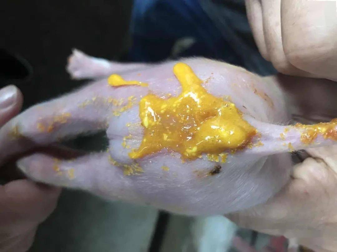 微信圖片_20251023091925.jpg 微信圖片_20251023091925.jpg