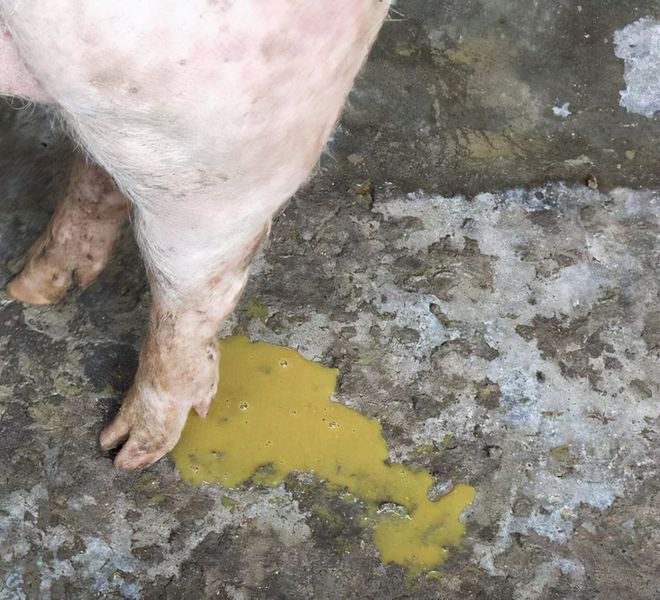 微信圖片_20251023091918.jpg 微信圖片_20251023091918.jpg