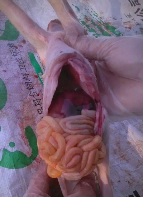 微信截圖_20251023091951.jpg 微信截圖_20251023091951.jpg