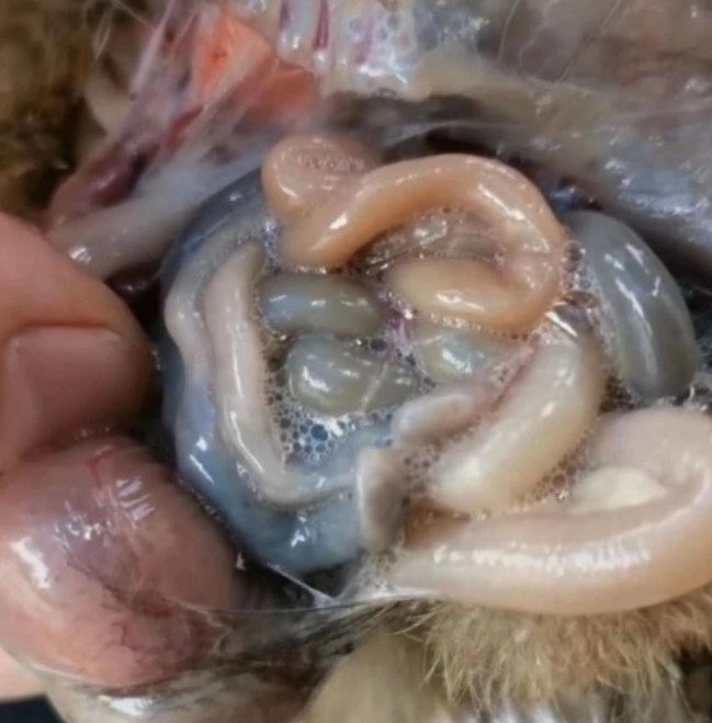 微信截圖_20251104091859.jpg 微信截圖_20251104091859.jpg