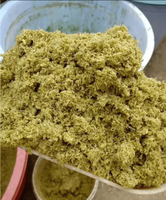 截圖20251107092245.png 截圖20251107092245.png