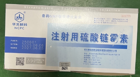 微信截圖_20251110100059.jpg 微信截圖_20251110100059.jpg