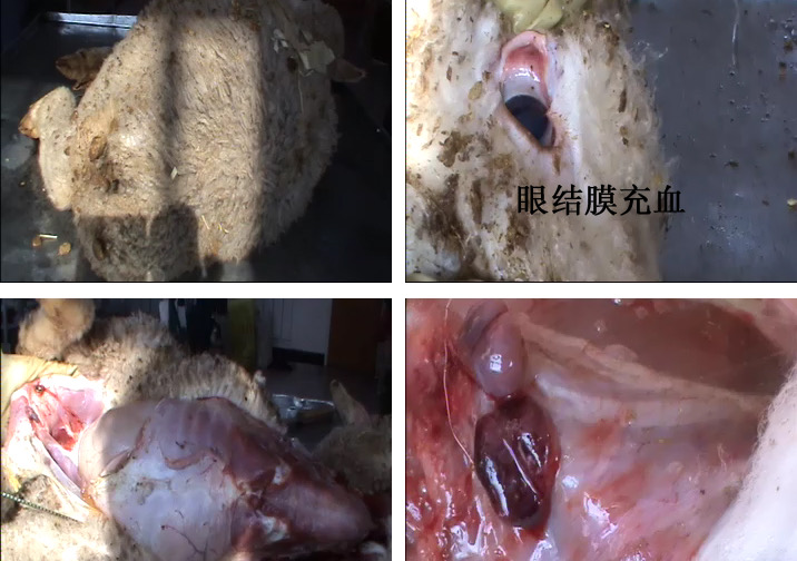 微信圖片_20251112091954.jpg 微信圖片_20251112091954.jpg