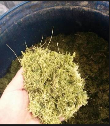 7b9073add020ba1b0054bd6679370b48.png 7b9073add020ba1b0054bd6679370b48.png