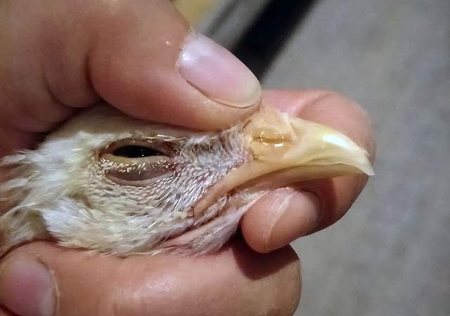 微信圖片_20251118092704.jpg 微信圖片_20251118092704.jpg