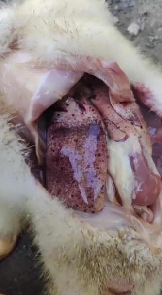 微信截圖_20251120093308.jpg 微信截圖_20251120093308.jpg