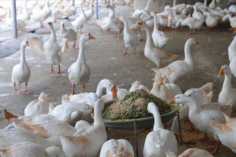 17545541971826963.jpg 17545541971826963.jpg