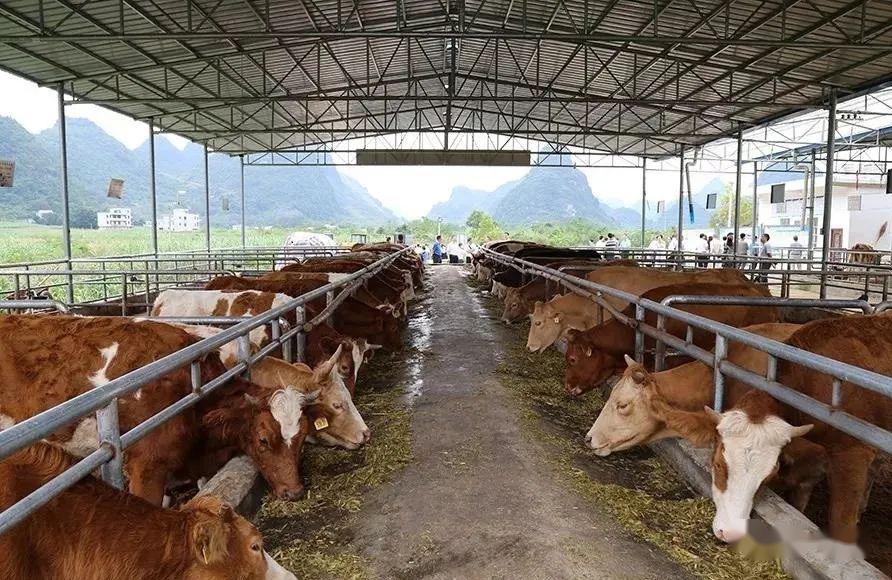 560c3a7d231b44f19722844a5ce4e3bd.jpeg 560c3a7d231b44f19722844a5ce4e3bd.jpeg