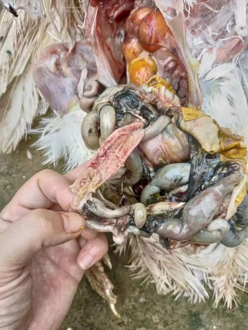 微信圖片_20251126091638.jpg 微信圖片_20251126091638.jpg