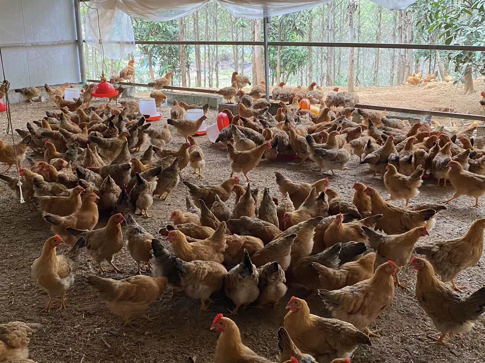 a3087ee1206c478caf29551ce2ddbede~tplv-obj.jpg a3087ee1206c478caf29551ce2ddbede~tplv-obj.jpg